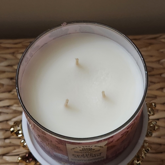 🌰New Bath and Body Works Squirrel Fall 3 Wick Candle Holder & Candle Decor 2024 - Picture 10 of 10